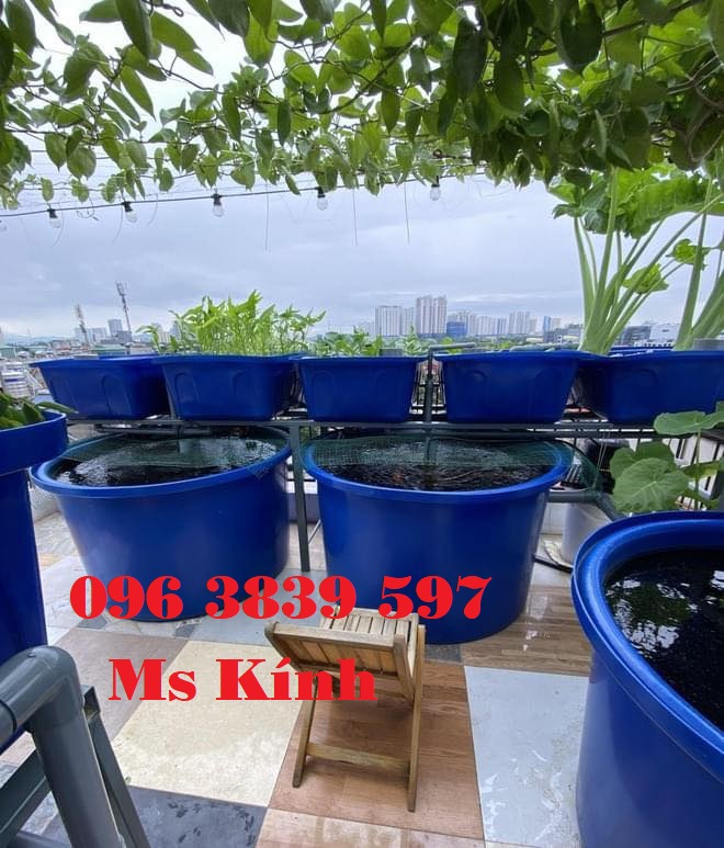 Thùng nhựa tròn nuôi cá, trồng cây, đựng hóa chất - 096 3839 597 Ms Kính