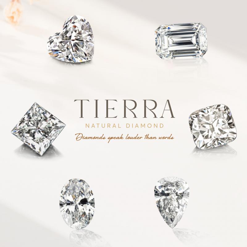 Bảng giá kim cương tại Tierra Diamond - Khẳng định giá cả luôn đi cùng với chất lượng mang lại